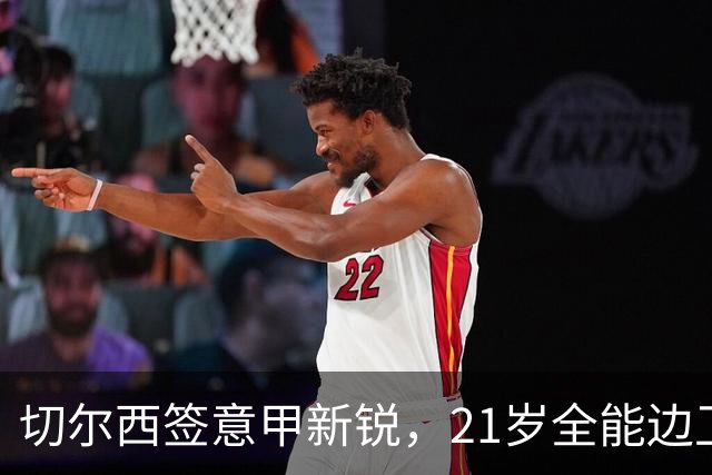 切尔西签意甲新锐，21岁全能边卫帕莱斯特拉加盟，七年长约锁核心