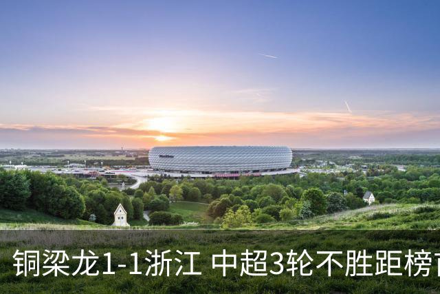 铜梁龙1-1浙江 中超3轮不胜距榜首14分 王钰栋赛季第7球 迪马塔救主